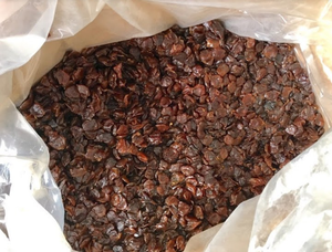 ลูกพลับอบแห้งออร์แกนิค คุณภาพดี ขายดี ราคาคุ้มค่า - Product Image 5