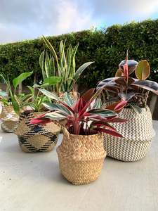 Vente en gros de paniers de rangement tissés en jonc de mer Boho Solution chic de décoration et d'organisation pour la maison - Product Image 4