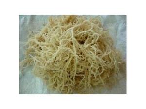 บรรจุภัณฑ์50KGS/ถุงแบรนด์เดลต้า SEAWEED-VIET สดใหม่ผู้จำหน่ายอาหารทะเลเพื่อสุขภาพในเวียดนาม - Product Image 3