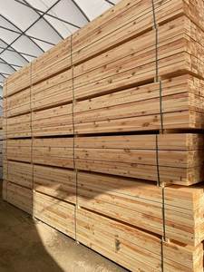 Madera Maciza de Paulownia, Álamo y Pino, Madera Aserrada, Madera de Pino y Haya para Palets, Madera de Pino Grado AA - Product Image 4