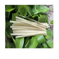HOT VIETNAMIEN 2024!!! Nouveau matériau pailles comestibles riz biodégradable Tapioca paille