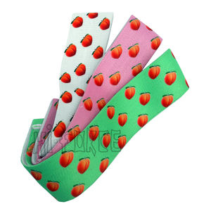 Nouvel ensemble de bandes de résistance pour l'entraînement des fessiers et des jambes - Product Image 2