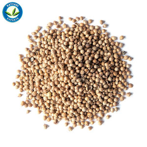 น้ำมันหอมระเหยเมล็ดผักชี - Product Image 1