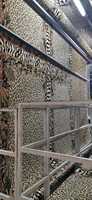 Wildlife Collection Safari Design Botanische Grenze Animal Print Country Area Teppich