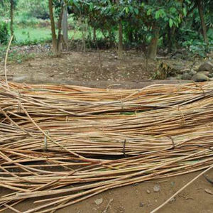 Modèle en bois de canne en rotin naturel poli fabriqué à la main Style de décoration nautique importé du Vietnam - Product Image 5