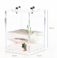 Empire des fourmis, style minimaliste nature extérieur, nid de fourmis en plastique écologique, décoration de chambre, 6x6x8cm, fournitures pour fourmis toutes saisons