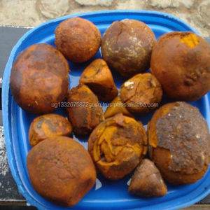 Meilleur prix calculs biliaires de vache/calculs biliaires de boeuf-marque de calculs biliaires jaunes certifiée GMP emballage de tambour de 25kg - Product Image 3