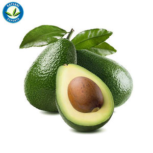 Aceite Esencial de aguacate orgánico Natural, alta calidad, 100% puro, venta al por mayor - Product Image 2