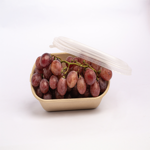 Fruit Packaging <b>Eco</b>-Friendly Anti Break Compostable Molded Pulp Tray Fresh Fruit Tray From Vietnam Manufacturer Paper Boxes - Product Image 2