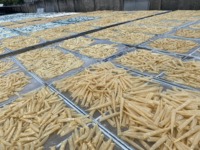 Rastking — poisson de coquillage senseur, maçon séchée, idéal pour un corvin