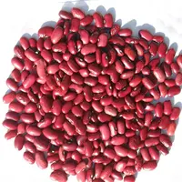 도매 공급 어두운 붉은 콩 고품질 좋은 가격 건강한 유기 대량 레드 콩