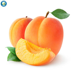 100% Pure huile de noyau d'abricot pressée à froid pour la peau, les cheveux et le massage fournisseur en vrac, bio, prix de gros - Product Image 3