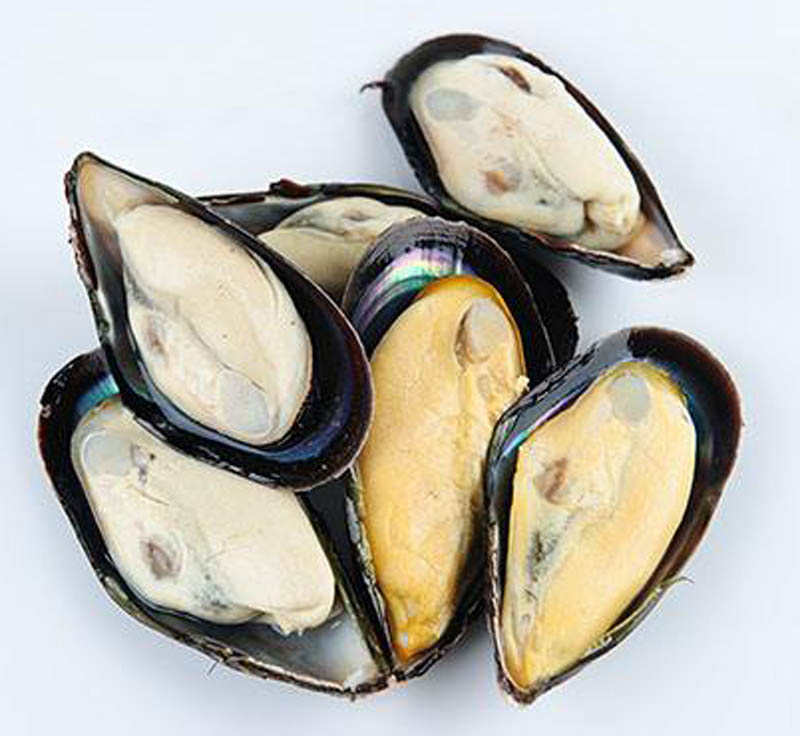 iqfmusselssuppliers