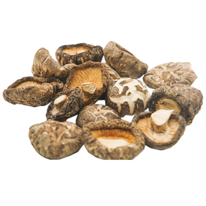 Champignon à shikbait séchés, 100 naturel, gratuit, du Vietnam, HH + 84977157110, vente en gros - Product Image 3