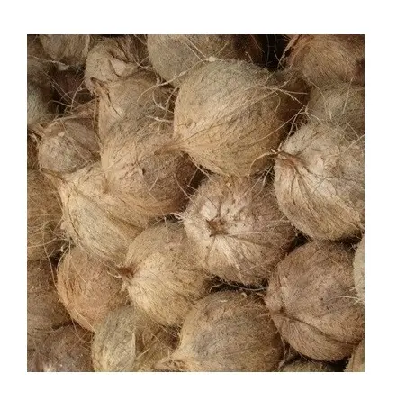 Semi descascarillado madura cocos frescos para la exportación