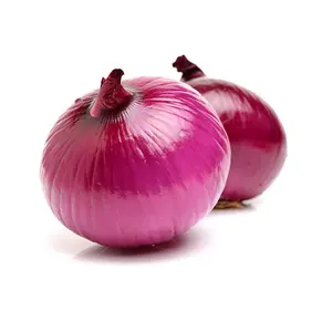 Wholesale fresh onion for sale/ Export fresh onion
