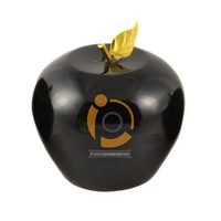 2024 Créez Votre Propre Sculpture en Onyx Pomme Polie Exquise, Nouveauté Tendance, Artisanat Sculpté, Cadeaux, Design Moderne, IMPEX Personnalisé