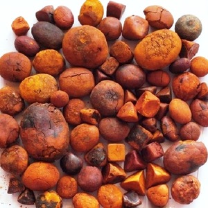 นิ่วในถุงน้ำดีวัว,สำหรับขาย - Product Image 6