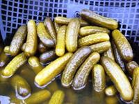 Pepinos fermentados en salmuera, verduras conservadas para un sabor gourmet