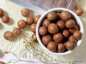 Nueces de Macadamia Vietnamitas de Alta Calidad, Crudas y Secas para Exportación - Product Image 4