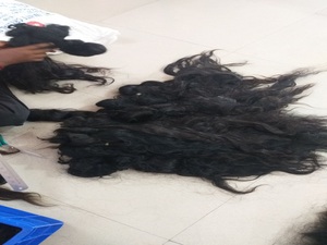 Cabello humano de templo indio, pelo indio sin procesar rizado y ondulado virgen, pelo virgen de la India, precio al por mayor 100% - Product Image 4