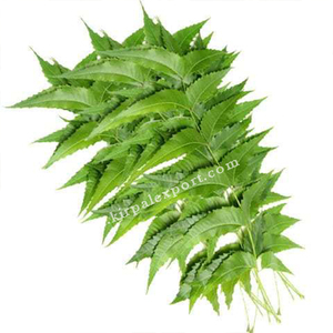 Organic Real Triple Refined Shifted Indian Fine Quality Herbal Semi-Permanent Hair Coloring <b>Powder</b> Long Lasting Color Color - Product Image 6