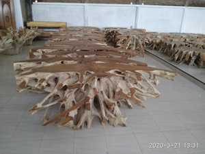 Dessus de table basse en verre, racine de teck, table du salon - Product Image 2