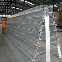 Cages à poules pondeuses de type batterie, fournies par l'usine pour l'élevage avicole