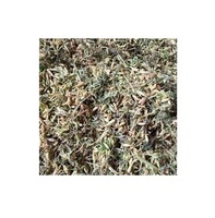 Fleurs de PAPAYA séchées pour hommes, origine VIETNAM, données en or 99, vente en gros