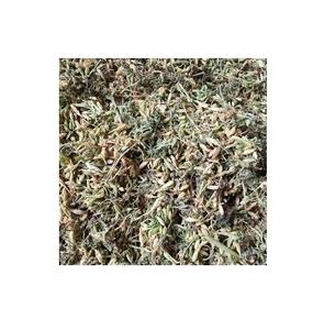 Flor de PAPAYA seca para hombre, de VIETNAM, 99 DATOS DE ORO, venta al por mayor - Product Image 5