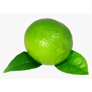 Limas y limones verdes frescas, para la exportación