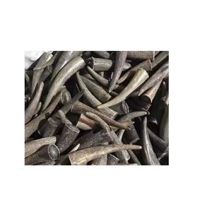 Puntas de cuerno de búhos, bocina natural, artesanía de la India, al mejor precio - Product Image 2