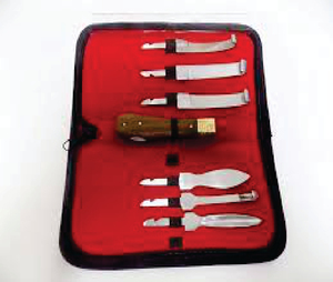 Ensemble de couteaux à sabots professionnels BEST, 6 lames interchangeables, durables, écologiques, instrument complet pour vétérinaires et ferrailleurs pour chevaux - Product Image 1