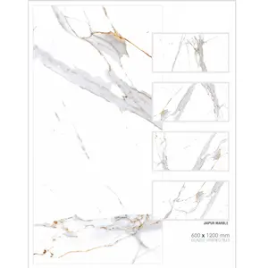 家居装修陶瓷3D地砖和大理石墙地砖60x120cm厘米