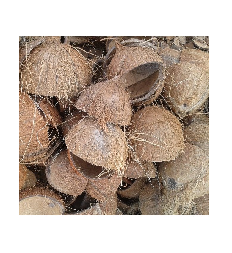 CRUSHED COCONUT SHELLS/HALB CUT COCONUT SHELLS/ COCONUT SHELL AUS VIETNAM