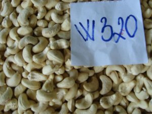 Noix de cajou moins chères Lual collations aux céréales salées 50g noix de cajou aliments de qualité supérieure produits sans gluten - Product Image 4