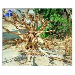 Vietnamese Supplier of Aquatic Natural Driftwood Aquarium Accessories WhatsApp +84 963949178