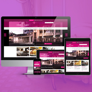 Hotel Website Design and <b>Development</b> Company | Top Hotel & Hospitality Website Design and <b>Development</b> Services by Webroot - Product Image 3