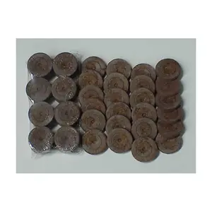 Palette de bouchons de démarrage en mousse de noix de coco