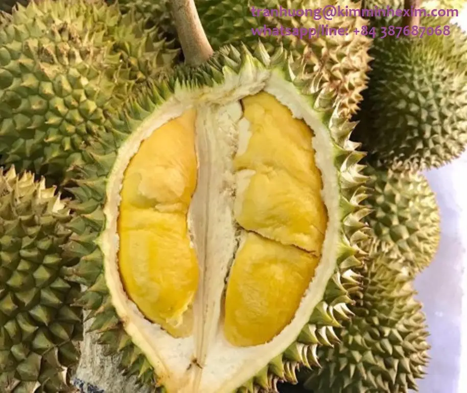 Vers/Bevroren Durian Met Hoge QUALITY--HP 0084 917 476 477