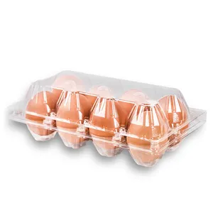 Baki plastik cangkang kerang sekali pakai 4 lubang kualitas tinggi wadah kemasan telur produsen kustom penjualan langsung
