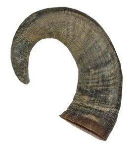 Cuerno de búhos para comida de mascotas, bocina de búhos para masticar, comida orgánica para perros, cuerno de búhos seco, cuerno Natural, seguro para comida, cuidado de su mascota - Product Image 6