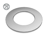 Galvanized Zinc Plated Low-Carbon Steel Thin Rectangular Grade 8.8 Flat Washer