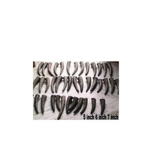 Uffalo Orn oll-Mango para cuchillo, sello y sello, hecho a mano - Product Image 1