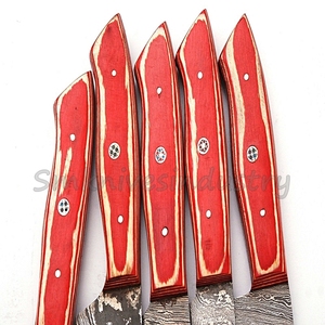 05 Pieces Hand Made Damascus Kitchen Chef Knives set with leather sheath <b>kit</b> <b>bag</b> (Smk1919) - Product Image 2