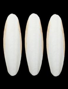 Hueso de sepia lavado seco para alimentación de aves/Precio competitivo y alta calidad/Shyn Tran - Product Image 1