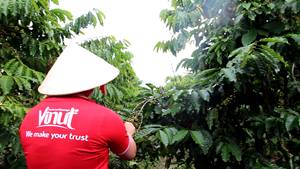 Bebida de Jugo de Naranja Roja de 11.1 Onzas Líquidas - Product Image 6