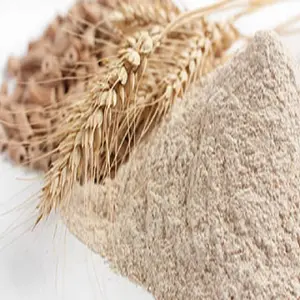All Purpose Wheat Flour (Arabic Bread)