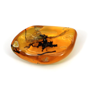 Scorpion Ambre Irrégulier Tumble 53x36mm 90.95 Cts Percé Gemme Lâche pour la Fabrication de Pendentif - Product Image 3