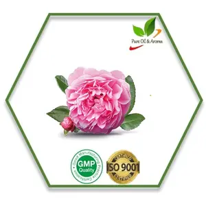 Harga grosir minyak esensial Rose otto bersertifikasi ISO & kualitas organik minyak esensial
